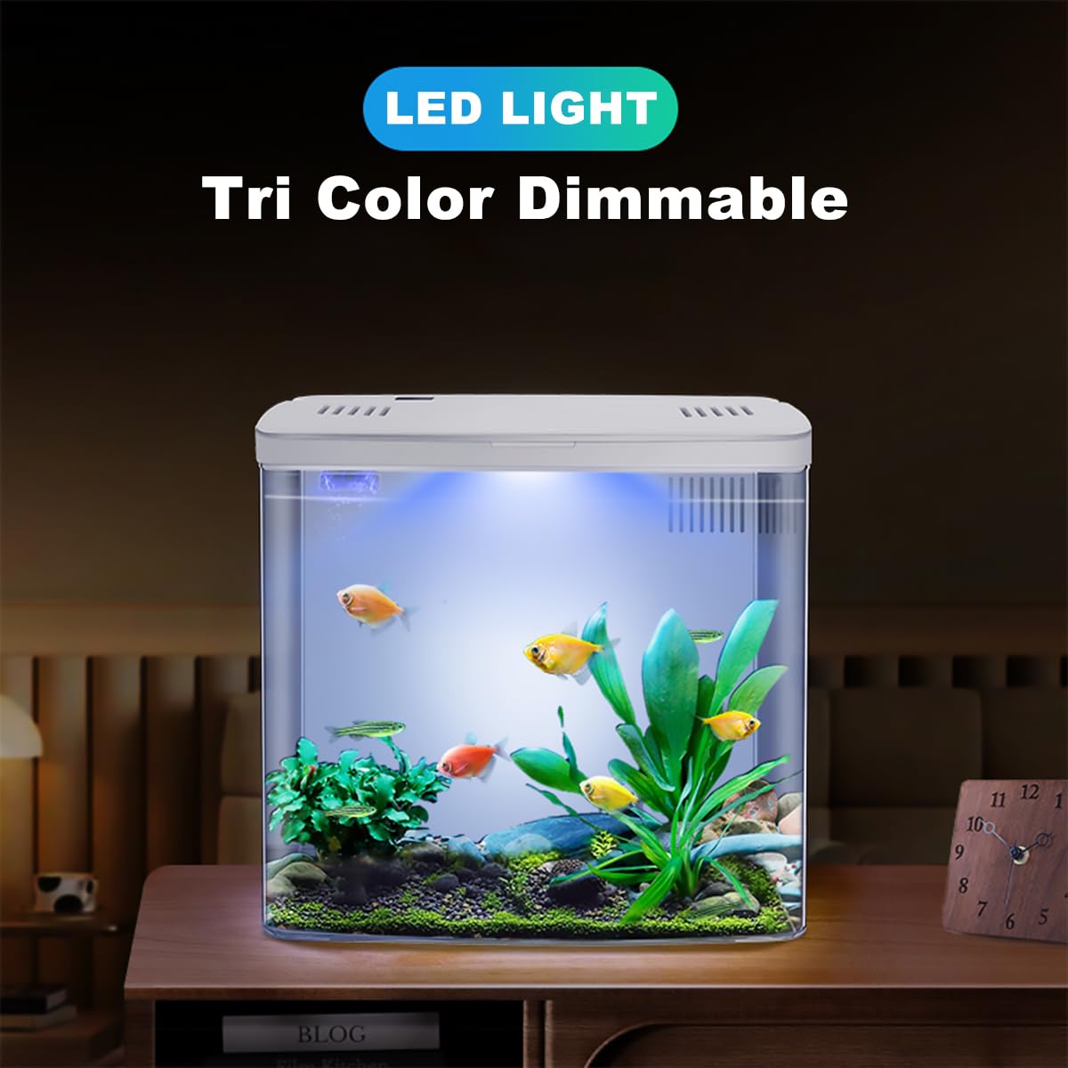 Kits de iniciación de acuario de 4,5 L, pecera pequeña Betta con LED y filtro (blanco)