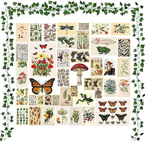 BeYumi Collage da parete vintage botanico con viti...