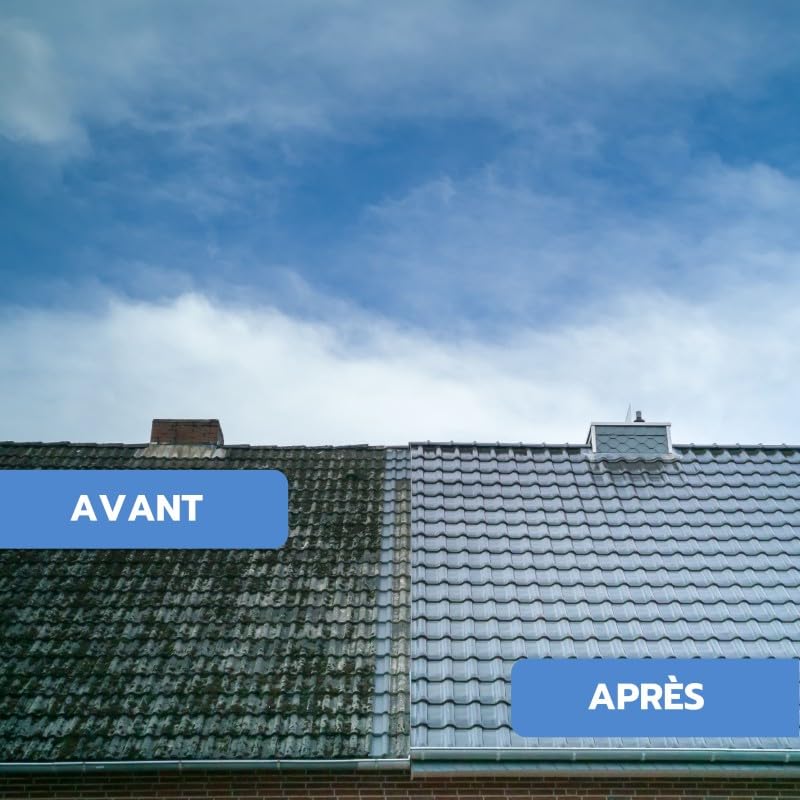 Phoenix - Anti Mousse toiture 10L, terrasse et façade - Nettoyant concentré Anti-Mousse, prévient la réapparition des mousses et lichens - Application Facile et préventive 10L