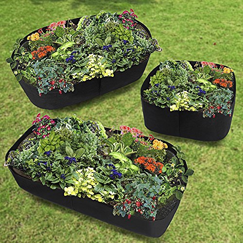 image for Alapaste 3x6FT Fabric Raised Planting Bed, Garden Grow Bags Herb Flowe