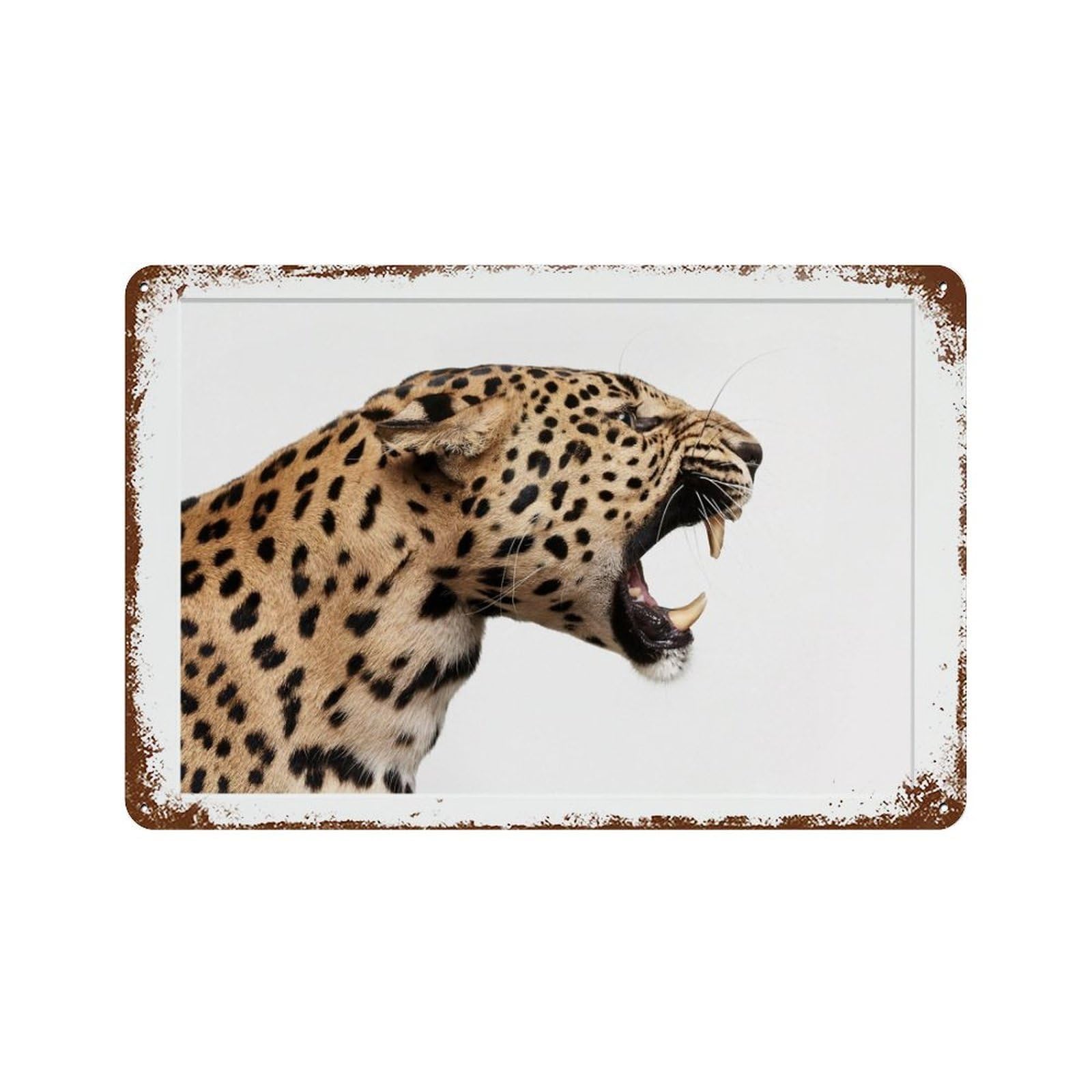 xiaoxiaoshen Panther Photography S Wall Decor Art Metal Tin Poster Modern Home Decor Art Home Bar Shop Decorations Vintage Sign 20x30cm
