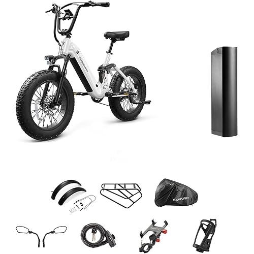 PUCKIPUPPY Electric Bike for Adults 750W,48V 20AH Battery Folding Ebike, 20" Fat Tire E Bike, 28MPH 80Miles Range Front Suspension Mountain Electric Bicycle
