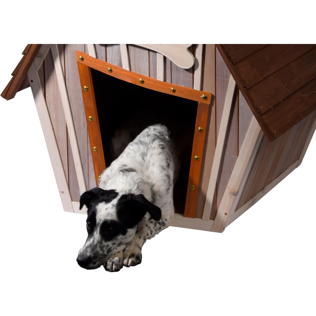 dobar® Hundehütte "Hubi" - Outdoor Hundehaus Massivholz - Hundekäfig Spitzdach - Holzhütte für mittelgroße Hunde - Haustierhütte mit abnehmbarem Boden - 90 x 77 x 109 cm - Braun/Grau