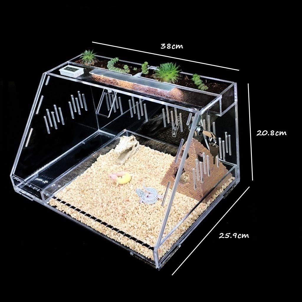 Terrario Gecko ecológico Transparente, Tienda de Mascotas, Nido Aislante para Reptiles, Tanque para Insectos hámster Erizo