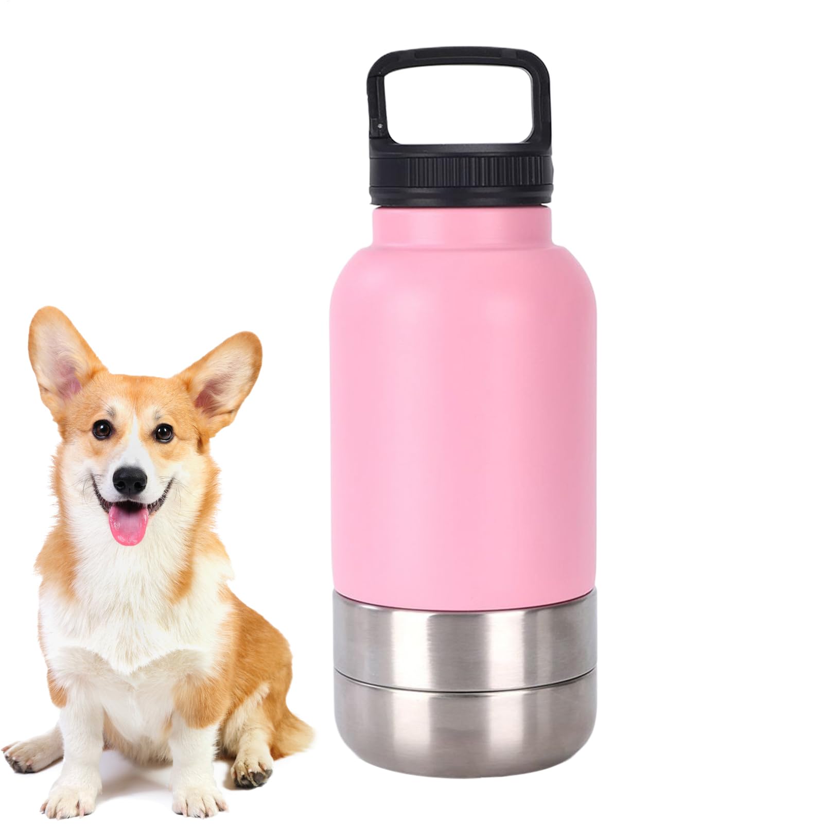 Bouteille d'eau pour chien et chiot : l'accessoire de randonnée et camping