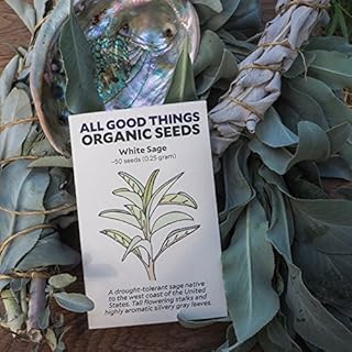 Seeds White Sage (Salvia Apiana) (~ 50): Non-GMO Heirloom Organic: Only Seeds