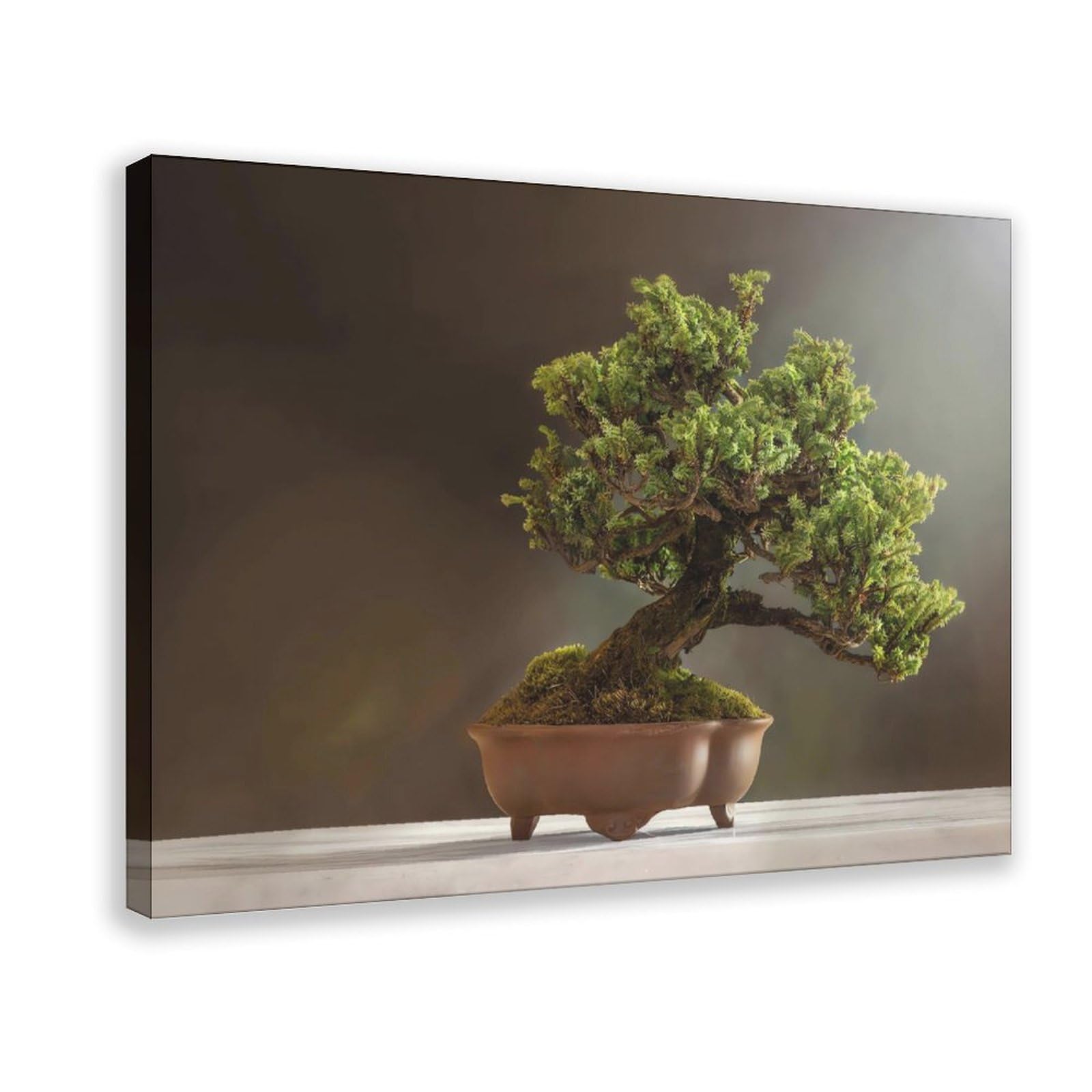 Qnvjqkdsi Frame Minimalistic Bonsai Art Canvas Poster Bedroom Decor Landscape Office Room Decor Gift 24" L X 36" W