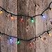 SYLVANIA LED Mini Christmas Lights, Multi