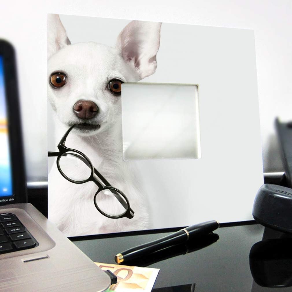 Dog Wearing Glasses Funny Chihuahua Wall Framed Mirror Printed Decor Pet Lovers Art Veterinary Clinic Home Room Ophthalmology Eye Doctor Design Gift