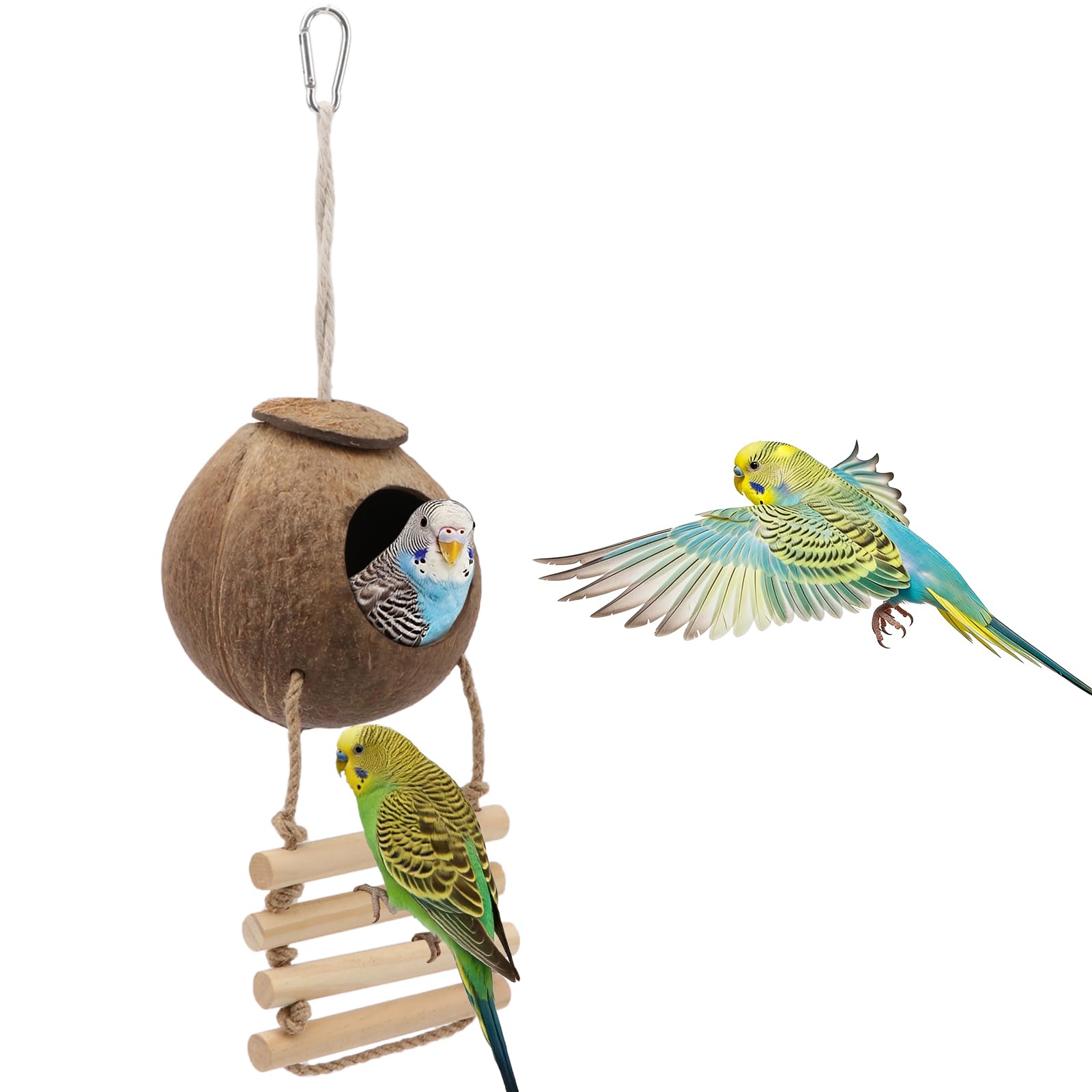 Nichoir à oiseaux en noix de coco contre le froid avec échelle d'accès