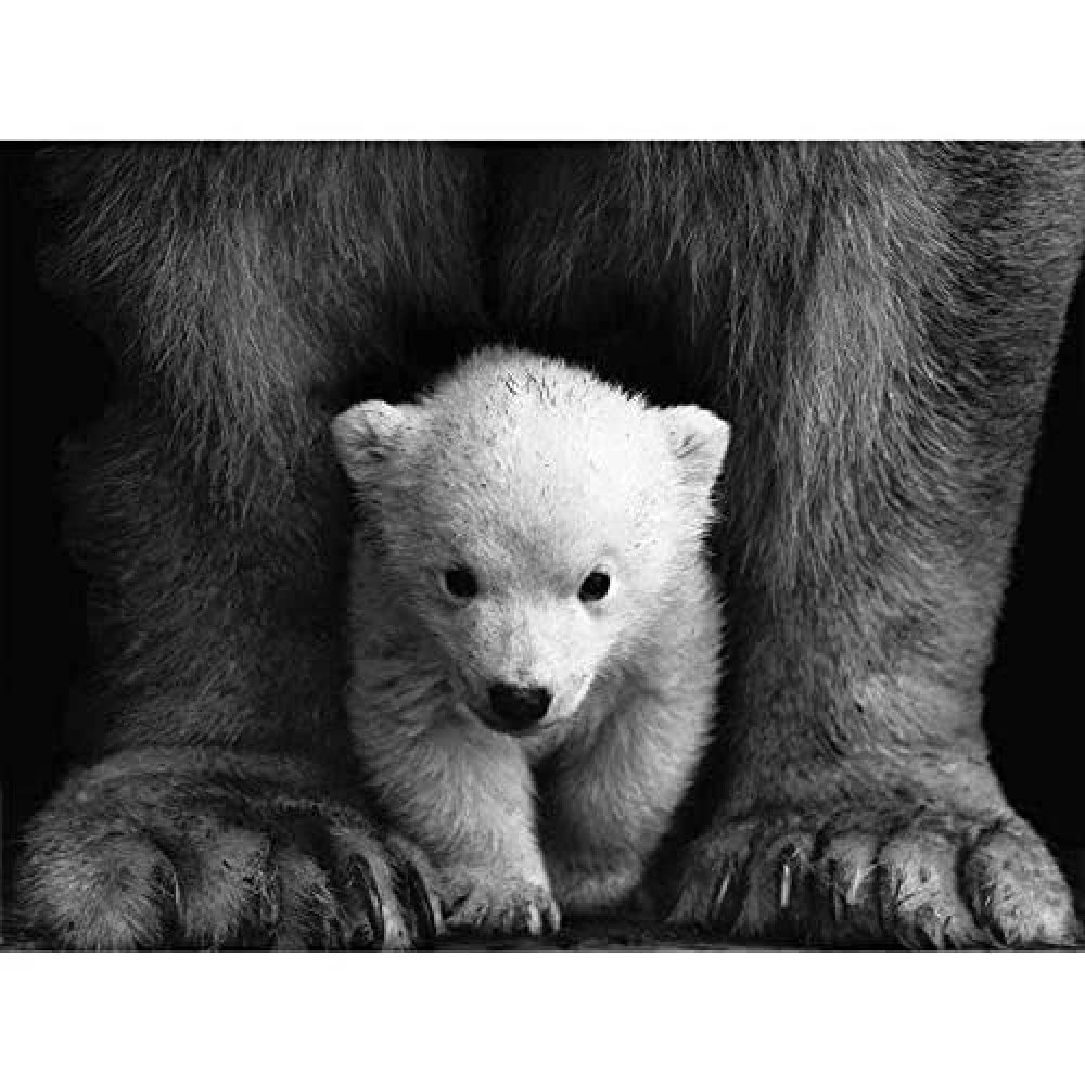 Artery8 Bear Cub Black White Animal Photo Unframed Wall Art Print Poster Home Decor Premium