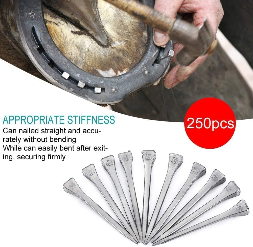 Cyrank 250PCS Horseshoe Nails, Horseshoe Nail Steel 2.13 Inches E6, Horse Shoe Nails Horseshoe Tools Stainless Steel Horseshoe Horse Hoof Peg Securing Nails Tools for Horse Training Equestrian Sports