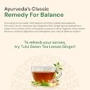 Maharishi Ayurveda Organic Certified Tulsi Green Tea Lemon Ginger | With Tulsi, Green Tea, Ginger & Lemongrass | Supports Stress Relief, Energy & Balance | 20 Tea Bags (30g) gallery image