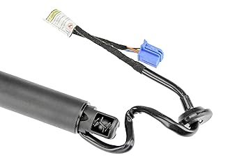 Amazon.com: URO Parts 1668900000 Hatch Strut. Right, w/Drive