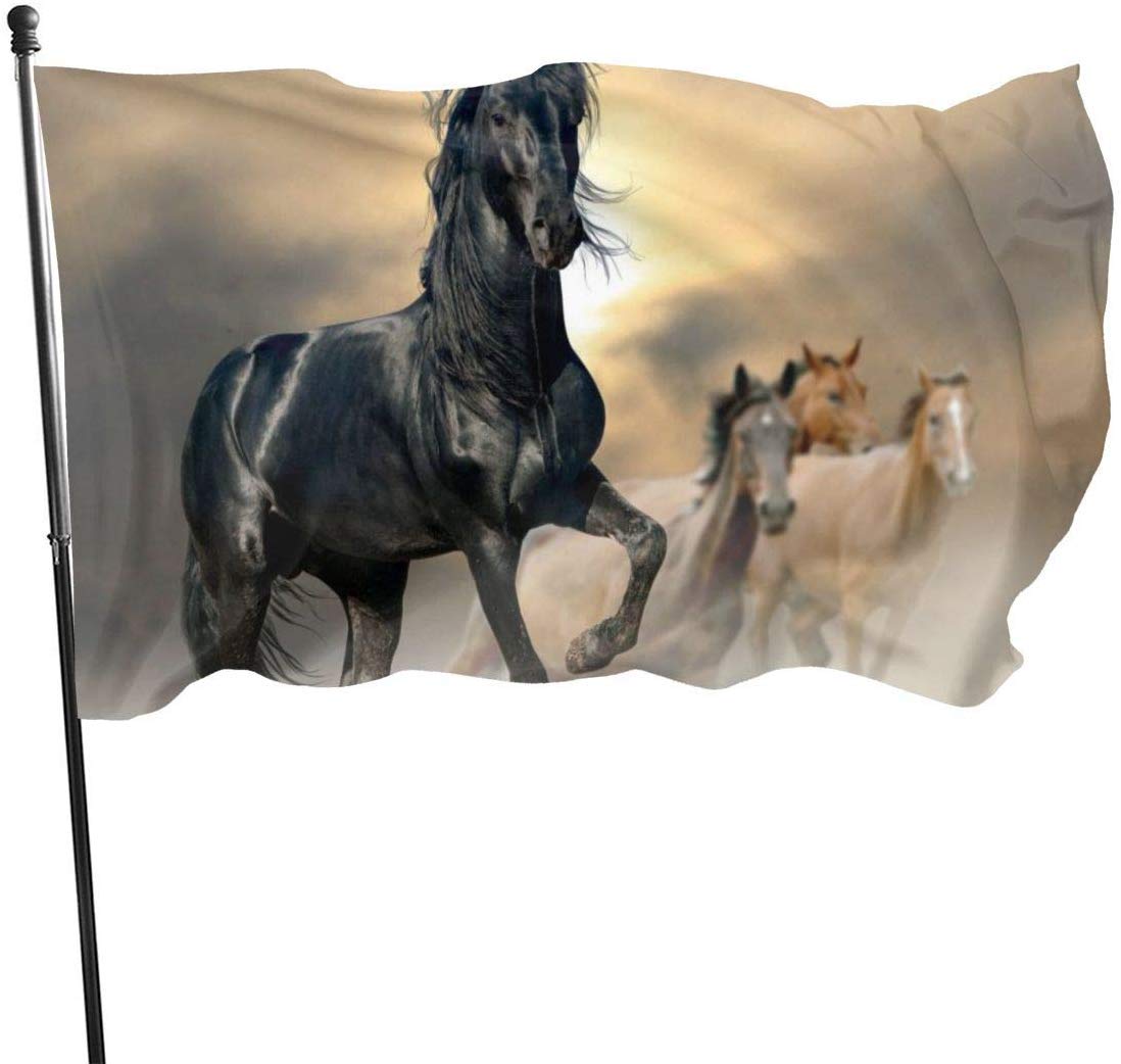 Gartenflagge 5 Singende Vögel 60x90 Cm - Doppelseitige Hofflagge Für Außenbereich