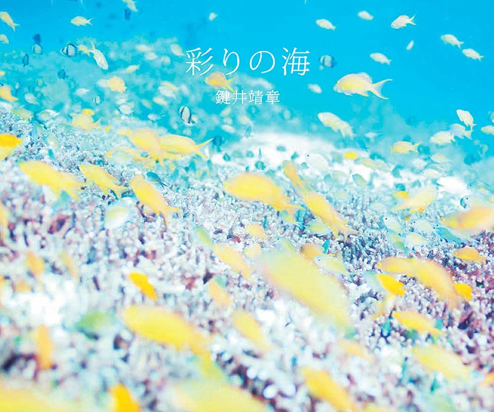 鍵井靖章　パイインターナショナル　絶版　三部 彩りの海 | 鍵井靖章 |本 | 通販 | Amazon