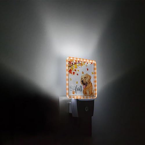 Miniatura 3 de Luz nocturna LED enchufable, lámpara de noche con sensor automático, luces nocturnas enchufables a la pared, diseño de hojas de arce de perro con