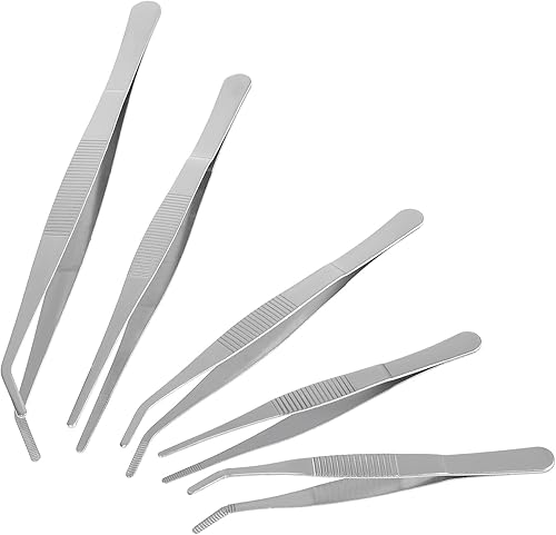 jojofuny 5pcs Succulent Gardening Tweezers Stainless Steel Plant Transplanting Tools for Seedlings Flower Succulent Care Lightweight Portable Hand