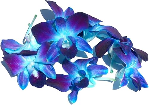 Miniatura 6 de Miami Fresh Orchid Loose Bloom OrchidClub USA Sunne Tropical Flower Head DIY Lei Food Drink Decor (2 x 50 BLUE)