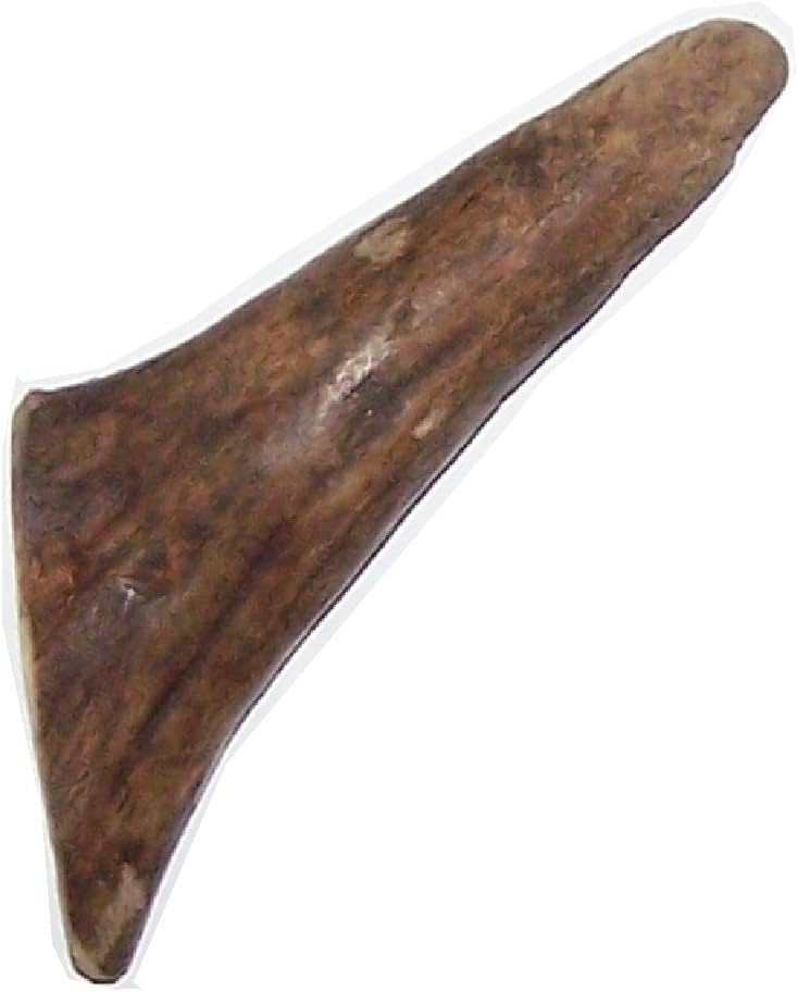 Puppy Antler Dog Chew - Alaskan Moose Antler Chew for Puppies 6 to 18 pounds