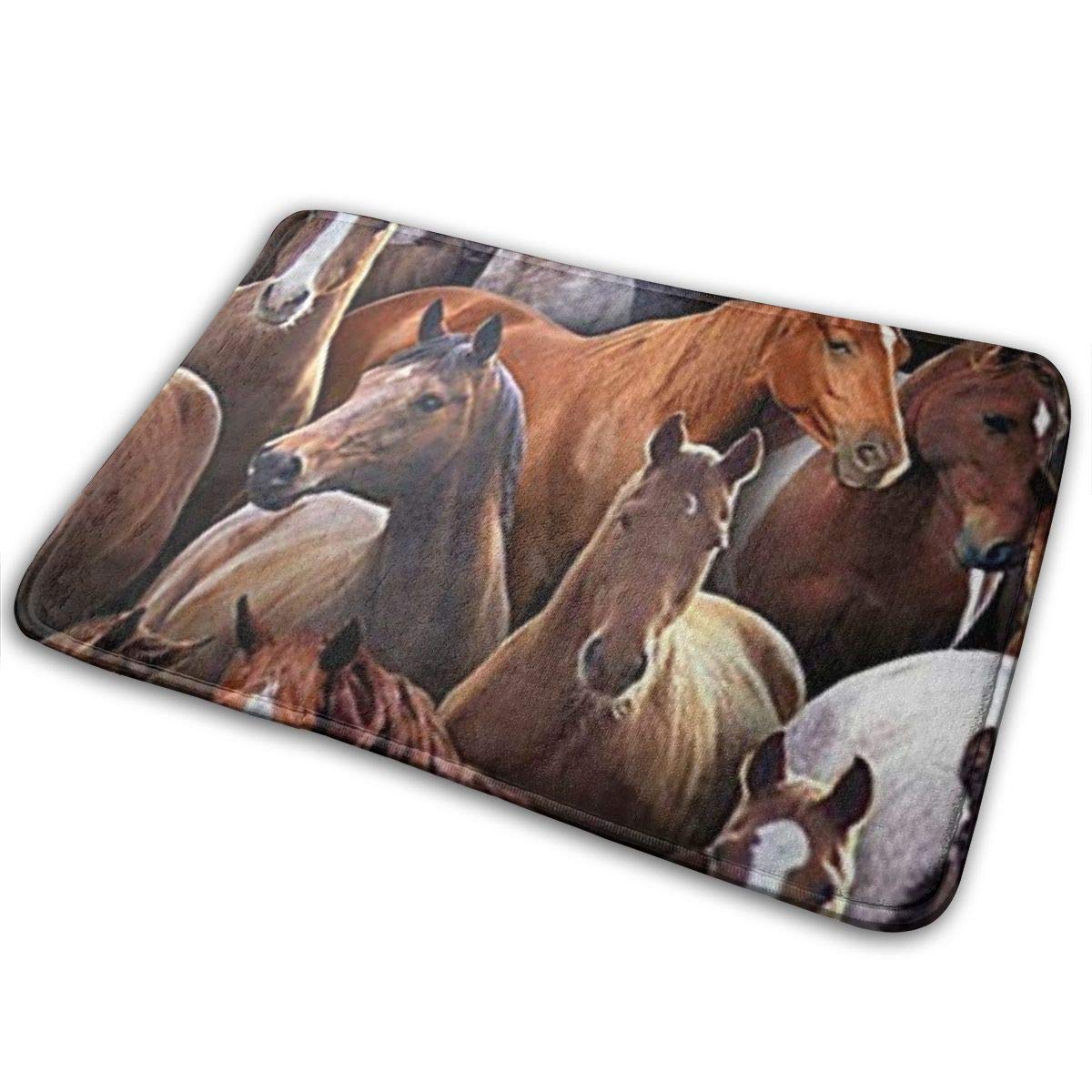 ZCHW Felpudo Farm Living, Felpudo de Caballo Negro, Alfombrilla de Entrada, Alfombrilla para el Suelo, Alfombrilla para Interior/Puerta de Entrada/baño/Dormitorio, 40X60 CM