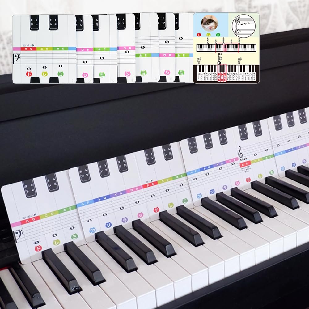 Amazon.co.jp: ドレミ鍵盤カード 4オクターブ / フラッシュカード 31