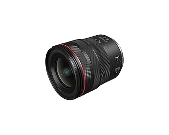 Canon RF 14-35mm F4 L IS USM ズームレンズ RF14-35mm F4 L IS USM：レンズ交換式カメラ・レンズ｜個人
