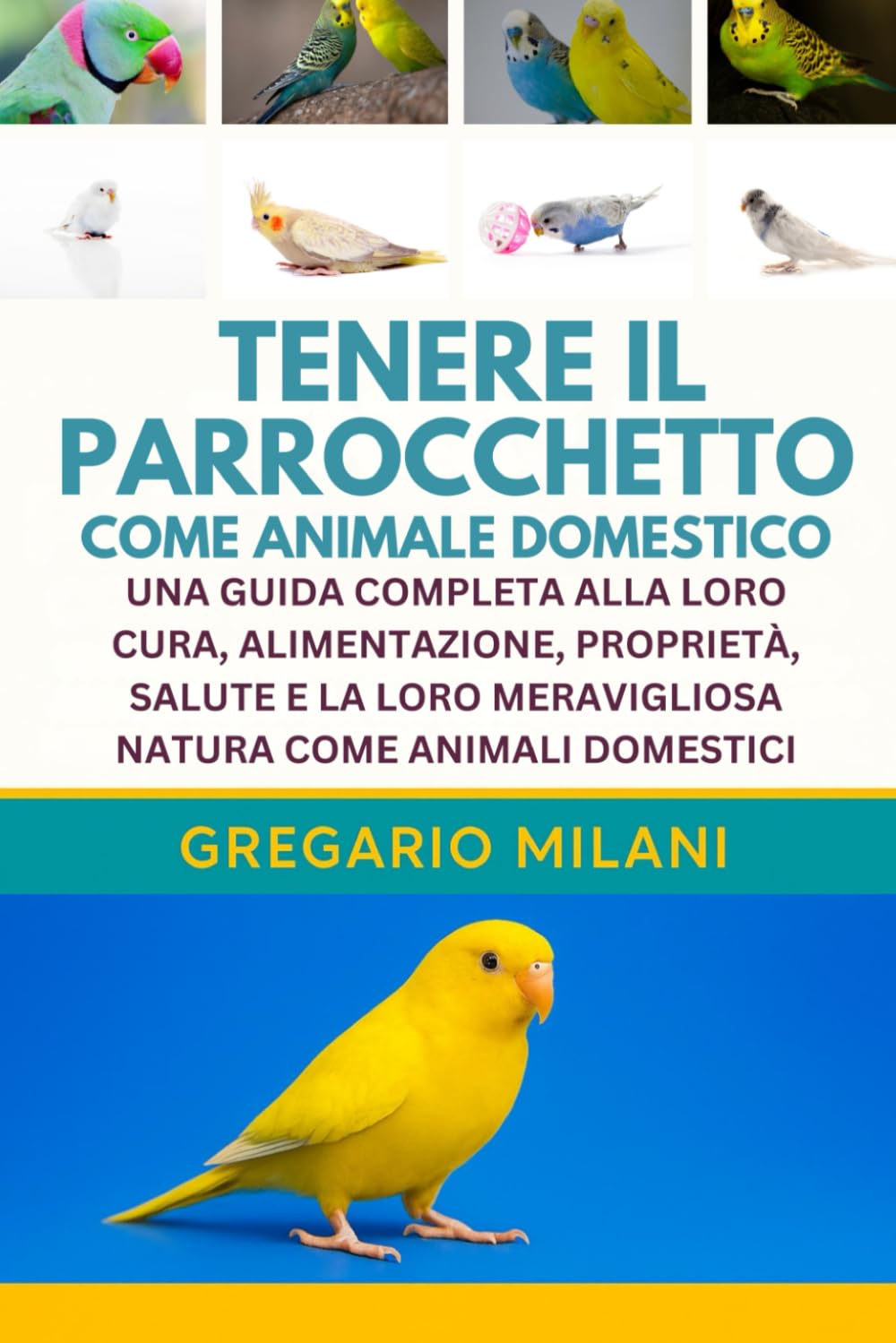 TENERE IL PARROCCHETTO COME ANIMALE DOMESTICO: UNA GUIDA COMPLETA ALLA LORO CURA, ALIMENTAZIONE, PROPRIETÀ, SALUTE E LA LORO MERAVIGLIOSA NATURA COME ANIMALI DOMESTICI