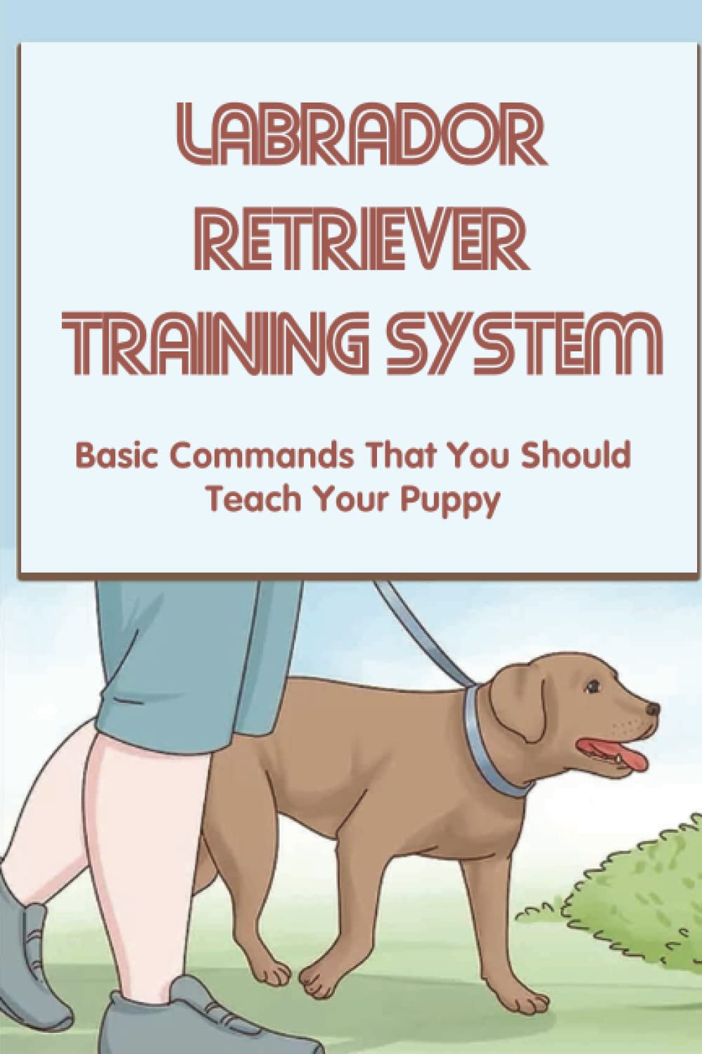 Buy Labrador Retriever Training System Basic Commands That You Should