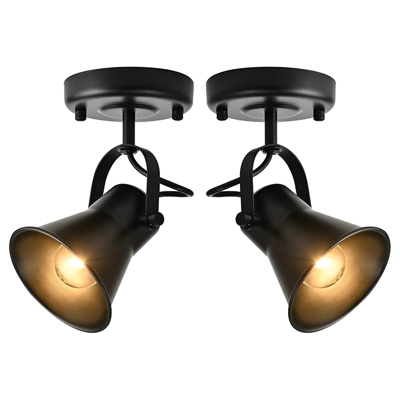 Image of Track Light Modern Ceiling Spot Lighting Indoor, Adjustable Wall Mount Accent Light,for Bedroom Living Room Hallway Kitchen Painting(2 Pack)