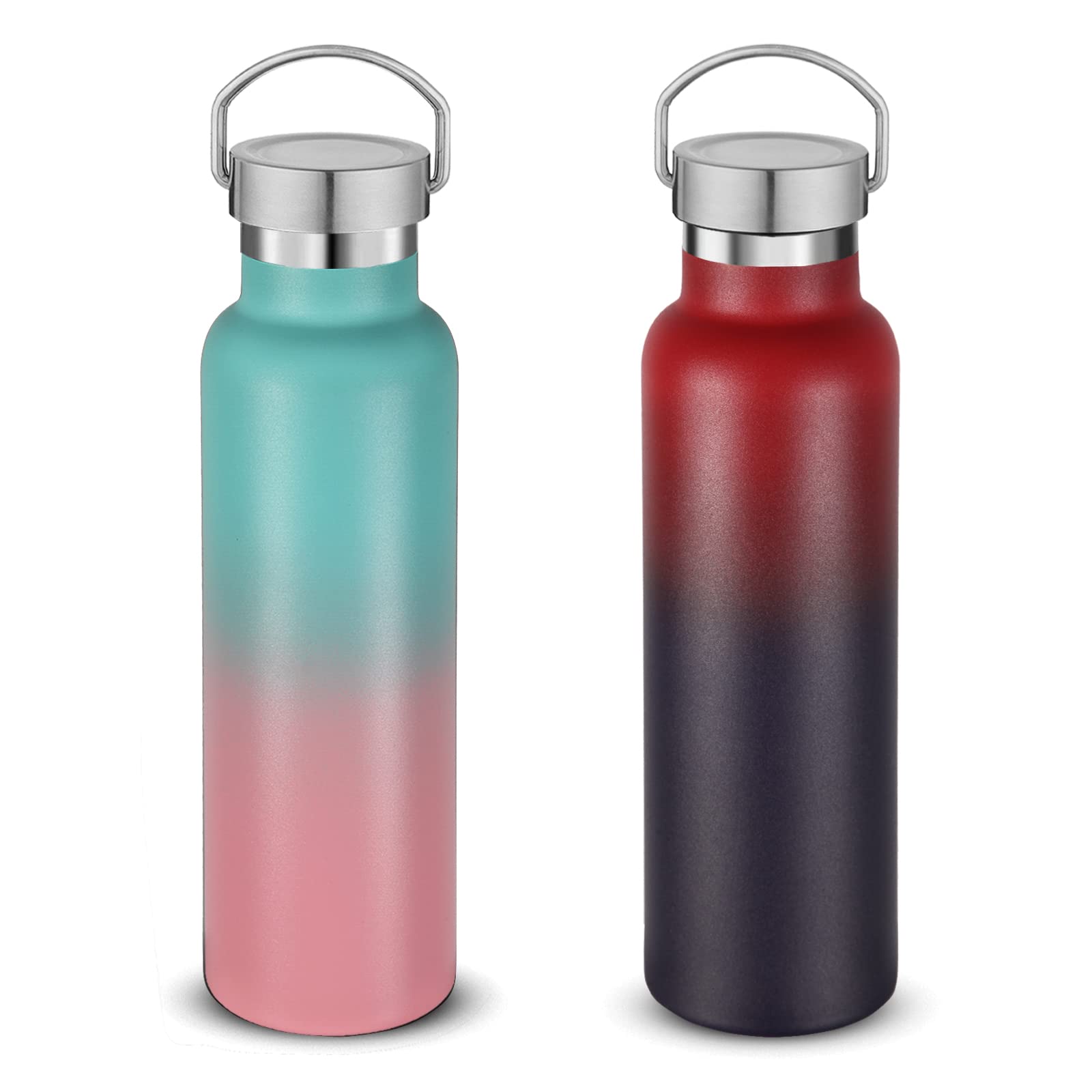 Neihepal 20 oz Insulated Water Bottles Bulk 2 Pack,Stainless Steel Double Wall Sport Bottle with Lid of Handle,Metal Reusable Thermoses Flask for
