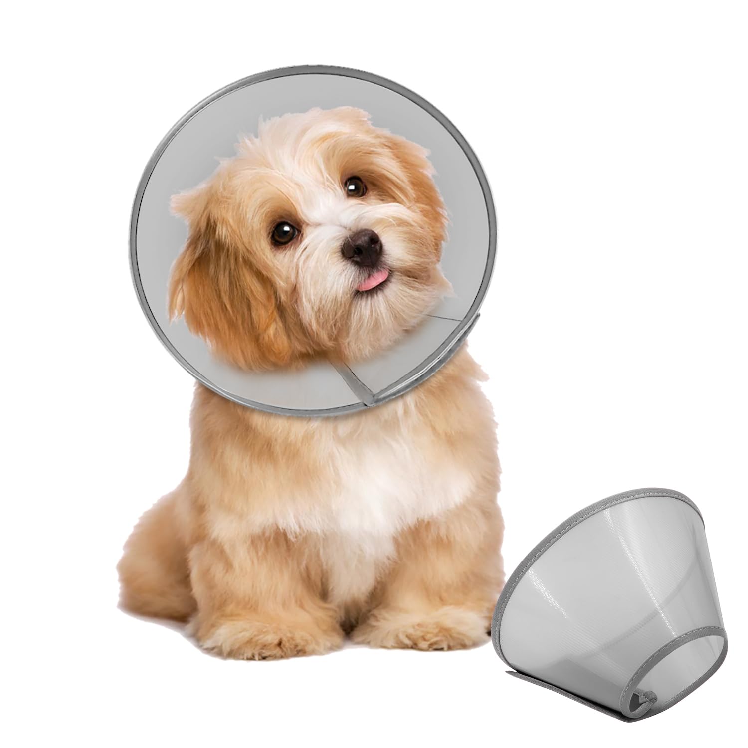 Supet Dog Cone Collar Adjustable After Surgery, Comfortable Pet Recovery Collar &amp; Cone for Large Medium Small Dogs, Elizabethan Dog Neck Collar Plastic Practical