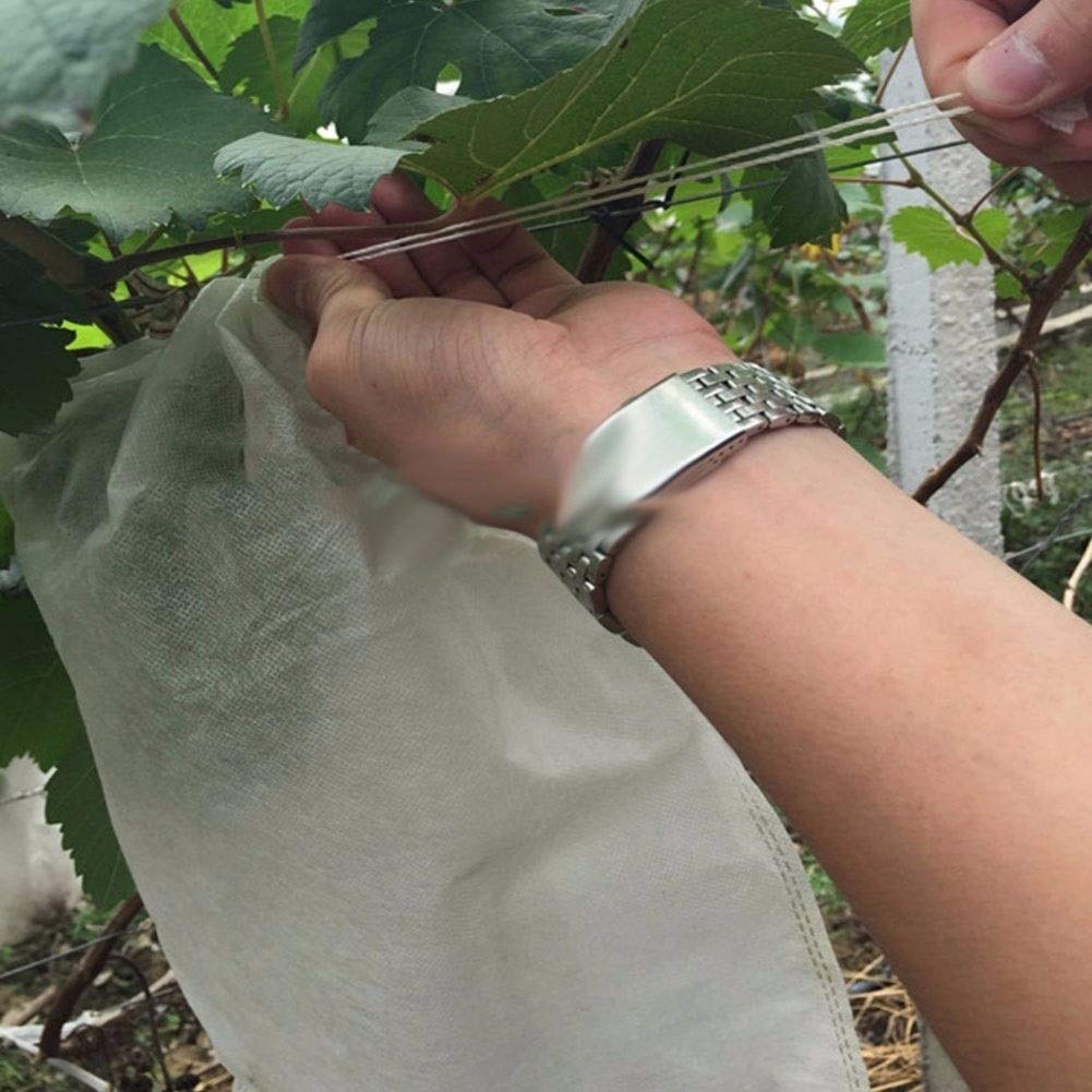 Bolsas Protectoras contra Insectos para Uvas, Bolsas de Malla antiinsectos for Cultivo Frutas, Verduras y Uvas, 100 Unidades(XL)