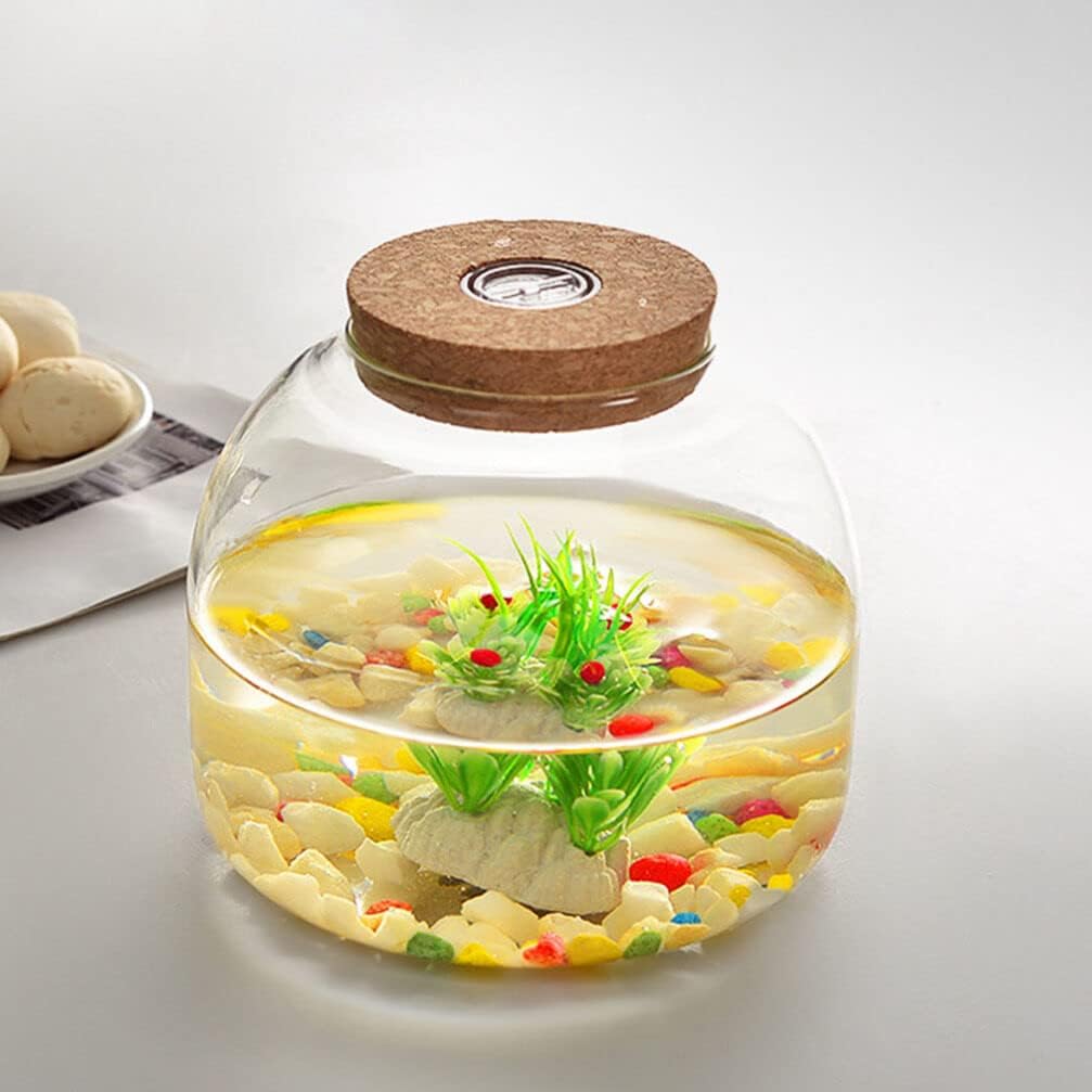 PATKAW ガラステラリウムジャー容器 多肉植物テラリウム エコロジカルボトル コルク蓋付き 多肉植物シダ苔 空気植物のディスプレ