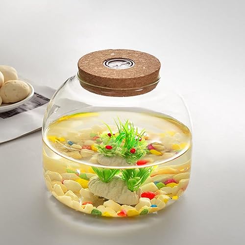 Miniatura 8 de PATKAW Tarro de terrario de vidrio para plantas suculentas, terrario, botella ecológica con tapa de corcho para suculenta helecho, musgo, plantas de