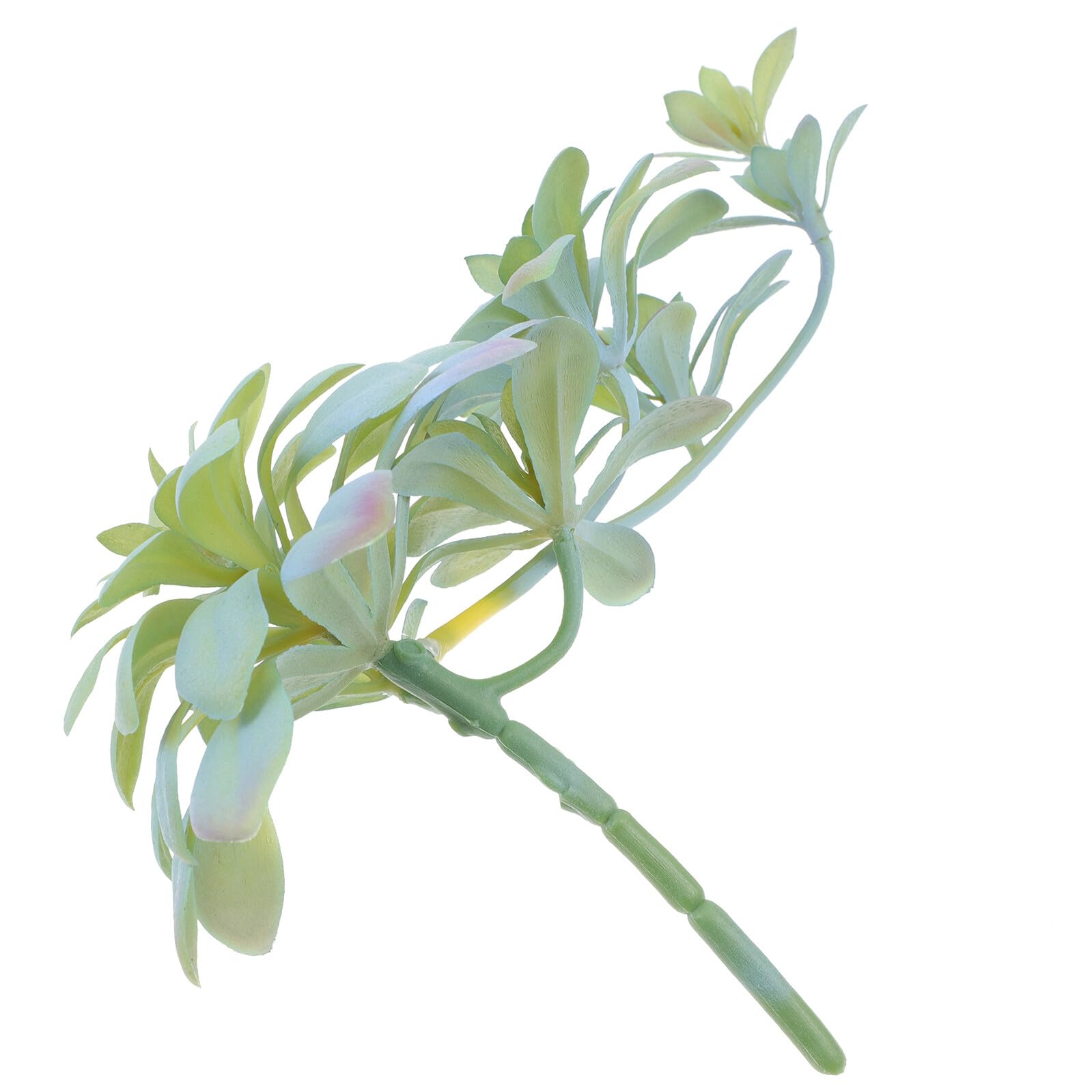 BESPORTBLE Plante Succulente Artificielle Simulation Végétale Suspendue Décor Intérieur Légère et Élégante pour Salon Mariage Maison