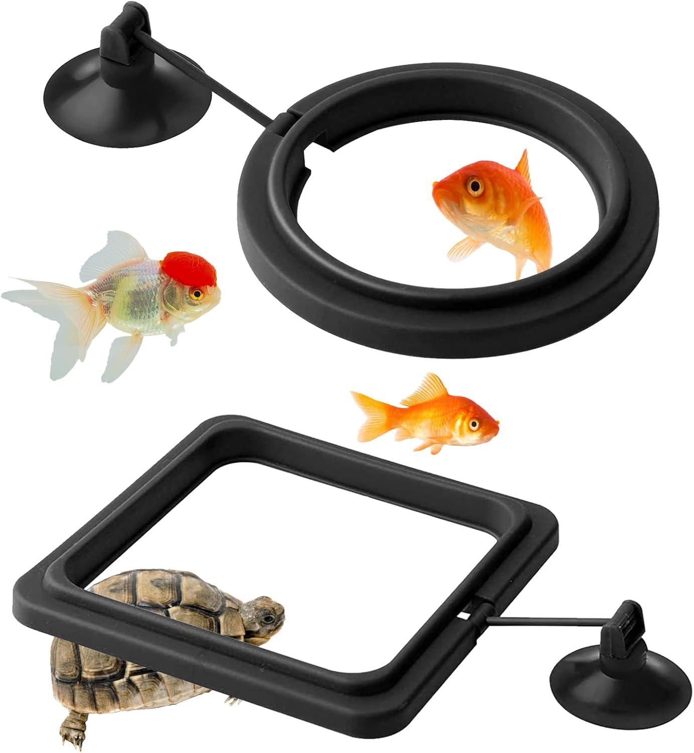 2PCS Food Feeder Circle, Fish Feeding Ring Aquarium and Tank Floating