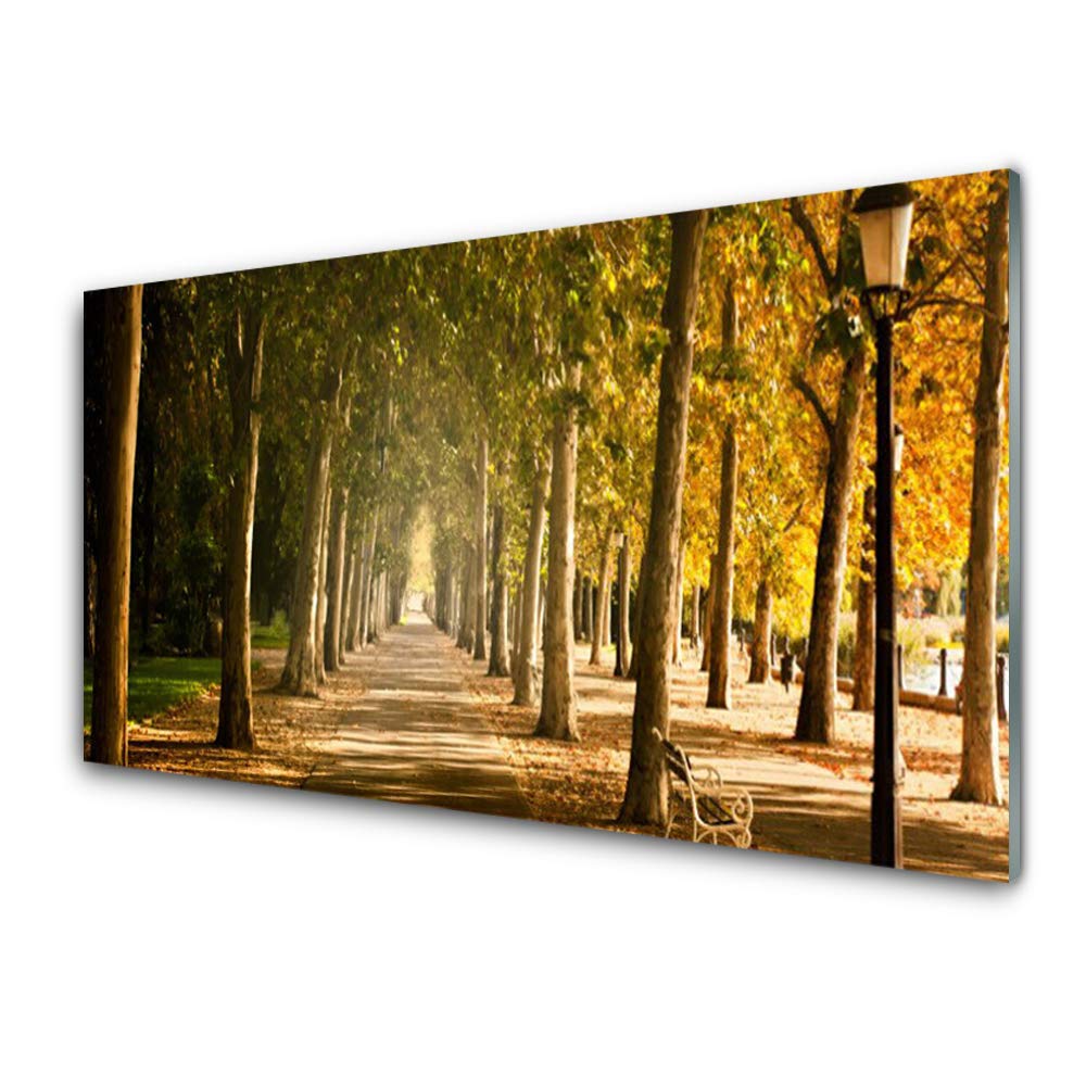 Impression sur verre trempé 100x50cm Tulup tableau mural moderne déco salon parc paysager