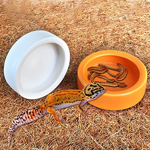 3Pcs Reptile Feeding Tongs Long Tweezers Cricket Clamp Bug Scooper and 2Pcs Reptile Food Bowl Lizard Gecko Food Water… - Image 4
