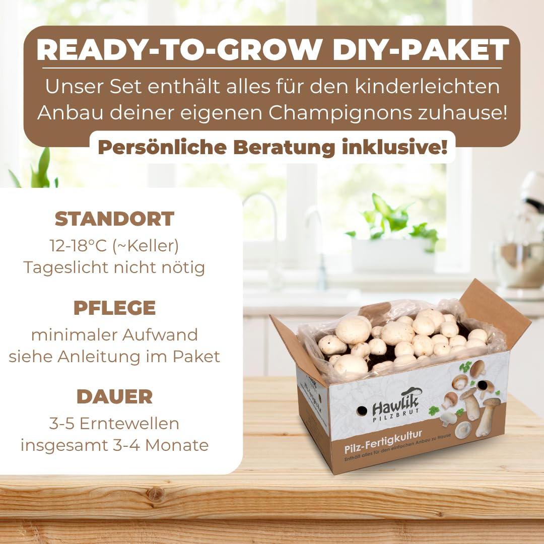 Hawlik Pilzbrut Champignon Pilzzuchtset Spar-Bundle XXL – 2 große Zuchtboxen für Steinchampignons und weiße Champignons – Pilze zuhause ohne Vorwissen oder Zubehör anbauen – etwa 6 kg Pilzernte!