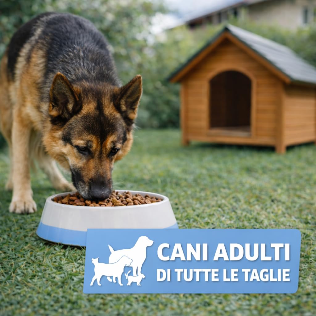 Mangolè Tasty Dog Adult Pesce 20 kg Croccantini per Cani Adulti Tutte le Taglie Alimento Completo con Proteine Animali 25% Made in Italy