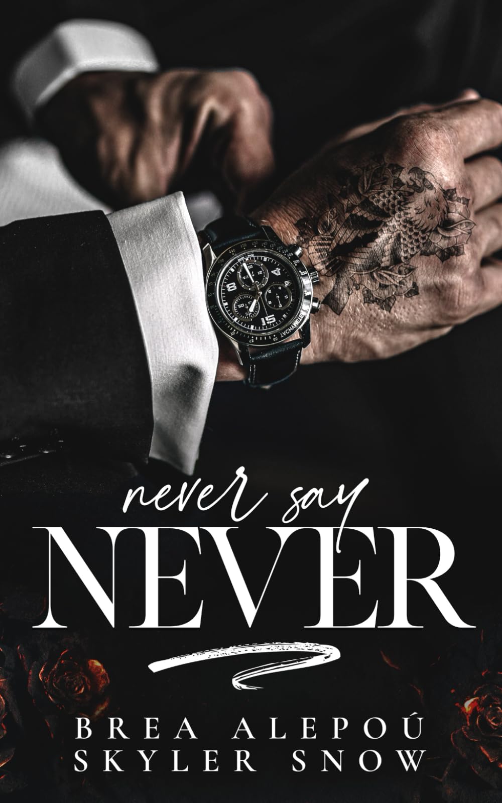 Never Say Never (Vitale Brothers)