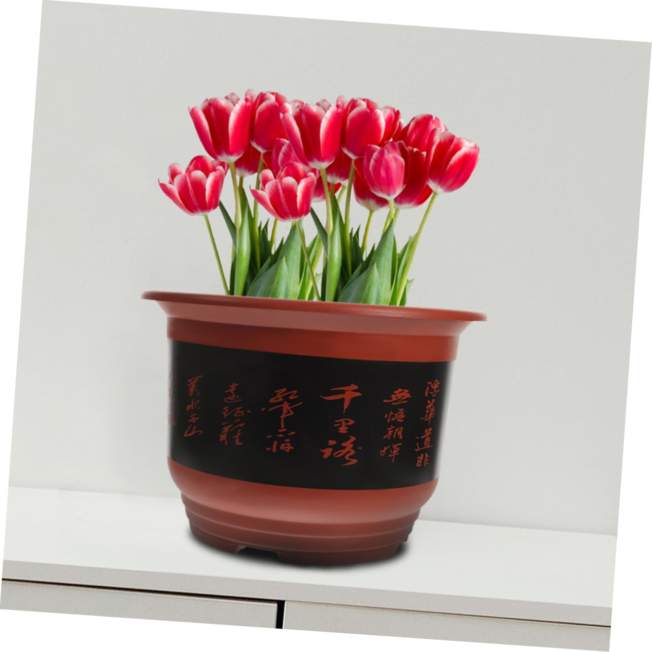 Toddmomy 2 Pièces Lot de Pots à Orchidées Plastique Jardinière de Fleurs pour Intérieur avec Drainage Optimal pour Décoration Printanière et Jardinage de Plantes Vertes
