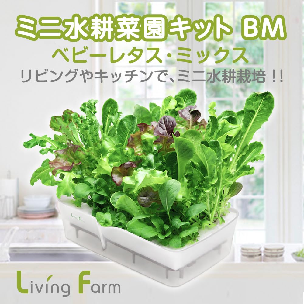 Amazon｜リビングファーム ミニ水耕菜園キットBM ベビーレタス