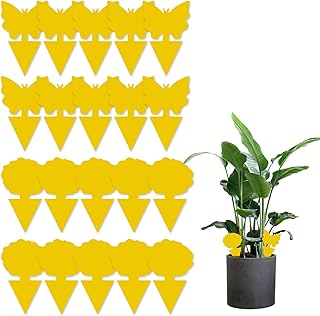 Sticky Traps 50 Pack Sticky Fruit Fly Traps And Fungus Gnat Trap Gnat Stix Mosquito Bits Killer Flying Insects Yellow Sticky Insect Traps Disposable Glue Traps For Indoor And Outdoor Protect The Plant