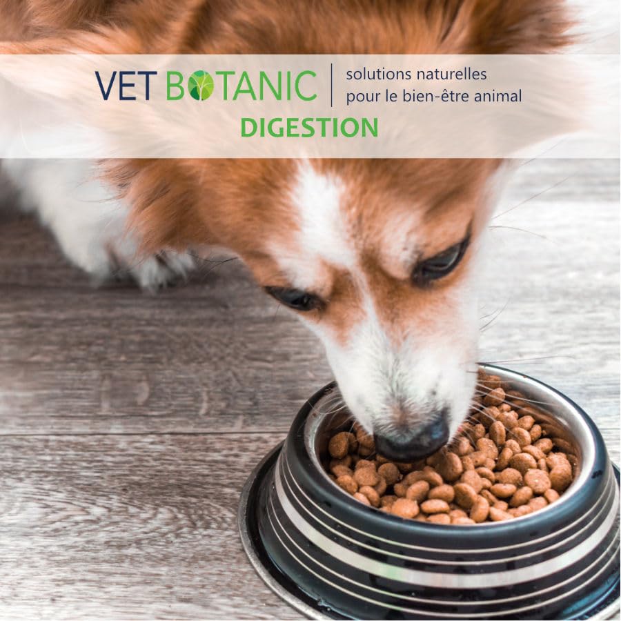 Levure Active - Probiotique pour Chiens et Chats, 100g - Vetbotanic
