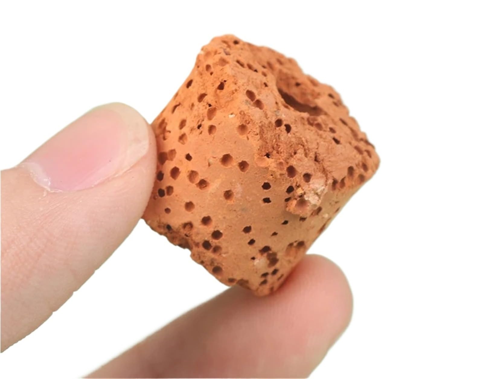 Mlyvax 60Pcs Plant Ring Aquarium Fixed Water Tank Filter Weight Plants Fixing Tool Aquatic Gravity Ceramic Rings