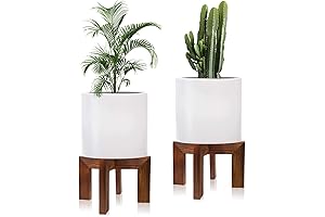Versatile Plant Stand Pack of 2 for Greenery Decor