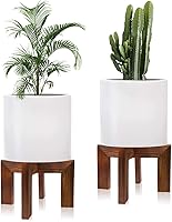 Vista 1 de Paquete de 2 soportes de madera para plantas de interior, soportes resistentes para macetas, estante de plantas, taburete de madera para soporte