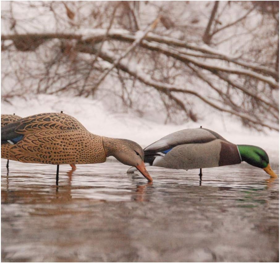 Avery 12 Pack of Over-Size Mallard Shell Harvester Decoys (70167)